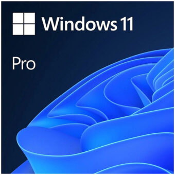 MICROSOFT Windows 11 Pro FPP 64-bit (HAV-00164)