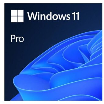 MICROSOFT Windows 11 Pro GGK Eng Intl (4YR-00316)