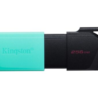 KINGSTON 256GB DataTraveler Exodia M USB 3.2 Gen1 DTXM/256GB