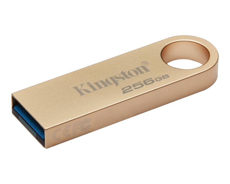 KINGSTON 256GB DataTraveler SE9 G3 USB 3.0 flash DTSE9G3/256GB champagne - Slika 5